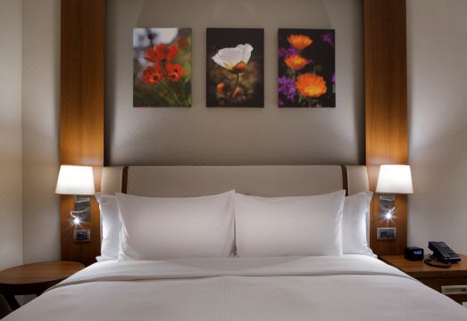 힐튼 가든 인 이스탄불 베이리크뒤쥐