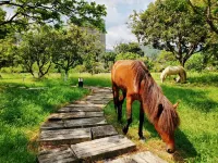 Deng Stone House Pastoral Resort