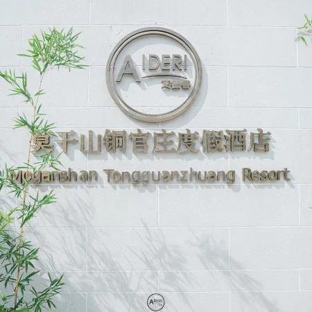 Aideri Moganshan Tongguanzhuang Resort