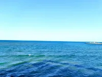 July Coast Homestay - Ocean View