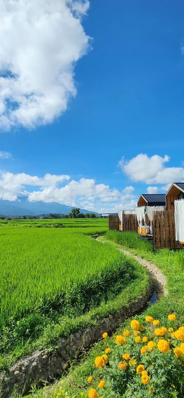 รูปภาพของเดอะฟิลด์แอทปัว The Field Pua