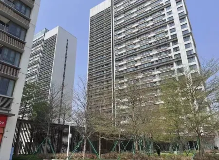 Tokyo Light Luxury Apartment (Shenzhen International Convention and Exhibition Center)