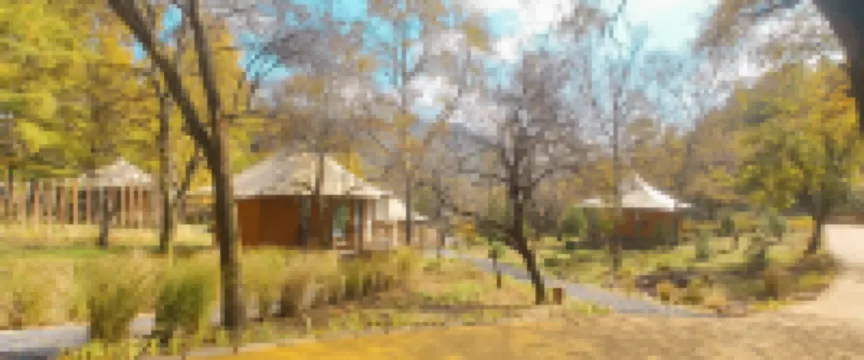 Wangyou Homestay