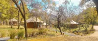 Wangyou Homestay Hotels in Lvliang