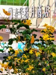 Chunhua qiuyue Hotel
