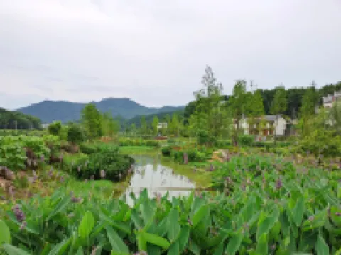 Shaoshan Chenyang Villa