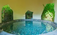 World Dinosaur Valley Hot Spring Hotel - Hot Springs
