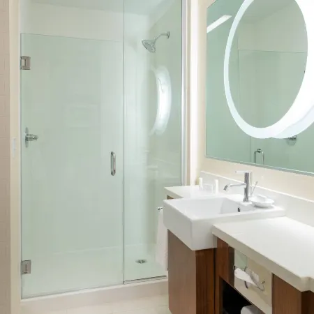 SpringHill Suites Los Angeles Burbank/Downtown