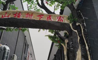 Under The Hawthorn Homestay