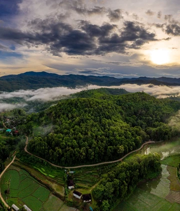 รูปภาพของไฉไล ออ คิด