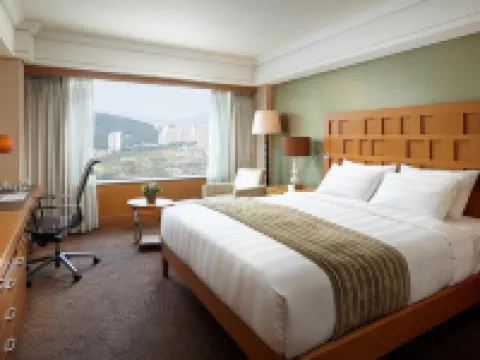 釜山樂天酒店 釜山酒店