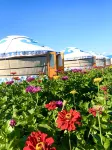 heishantoujinsemuchang Hotels in Ergun