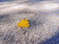 扶余松花江ホテル 扶余のホテル