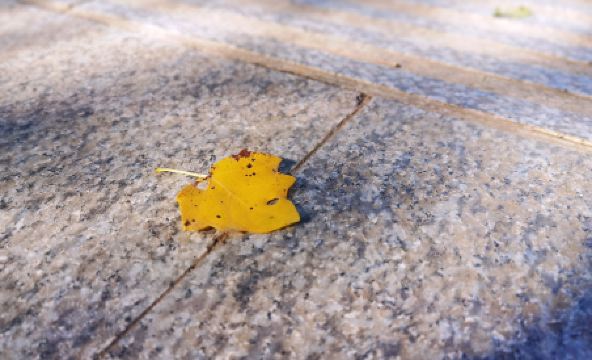 Fuyu Songhua River Hotel - Housity