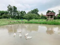 Hang Tueng Farmstay and workshop Chiang Mai Hotels in Tha Sala