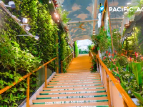 Sky Garden Homestay Hotels in Subic Bay