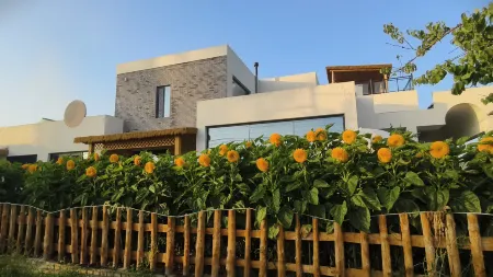 Kuerdening Qianqian Courtyard Homestay Отели рядом с достопримечательностью «Kurding Tourism and Cultural Museum»