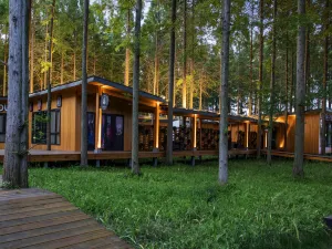 Dongtai Huanghai Forest Park Cabin Cluster