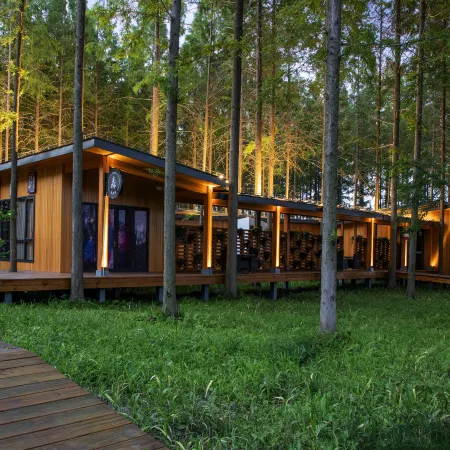 Dongtai Huanghai Forest Park Cabin Cluster