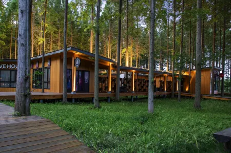 Dongtai Huanghai Forest Park Cabin Cluster
