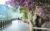 ShenxianjuJinglanqingtangHotel - جاكوزي