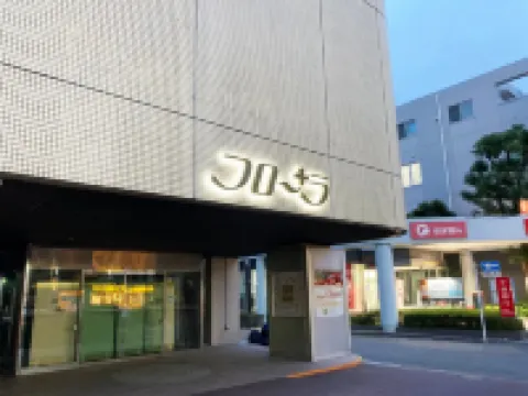 Hotel Flora Funabashi Hotels in Funabashi
