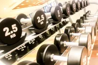 The Excelsior Hotel Las Piñas - Gym