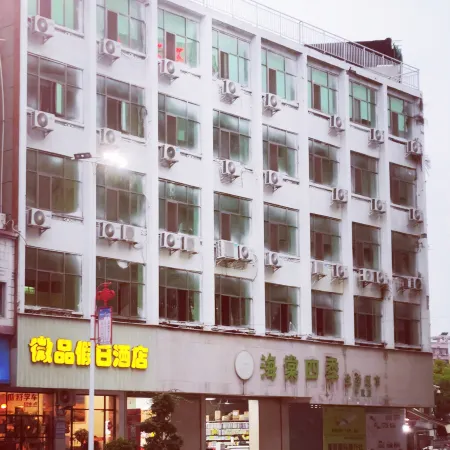 Tai Po Micro-Pin Holiday Inn
