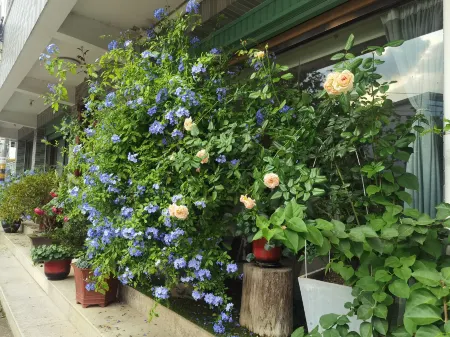 Oriental Charm Hotel (Gutian Site Tourist Center Branch) Отели рядом с достопримечательностью «A Little Apark Makes A Great Fire Wax Museum»