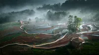 Yuanyang · Terrace Lianyin Wild Luxury Homestay - Pools