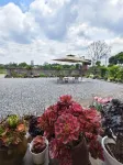Lizhuang Shiguangli Courtyard - New