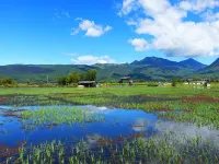Mengtian Bieyuan Boutique Inn - Kæledyr tilladt