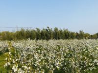 上海宿於民宿 - 酒店附近