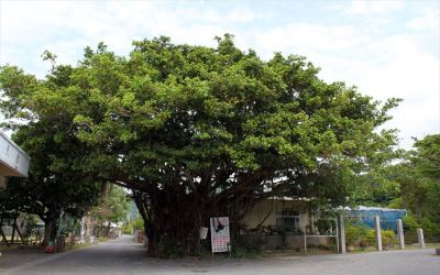 ホテル周辺 ホテルリゾネックス名護の写真