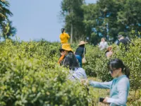 Heart of the Mountains · Jiayi Homestay Hotels in Dushan