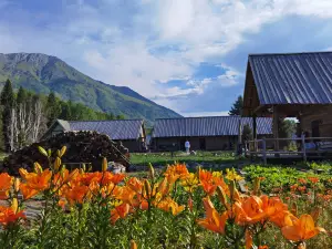 Cezanne Art hotel