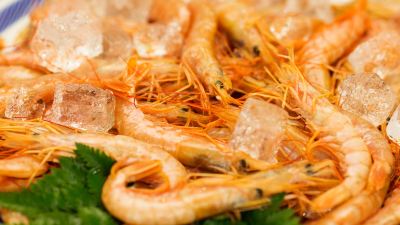 料理 三日月シーパークホテル安房鴨川の写真