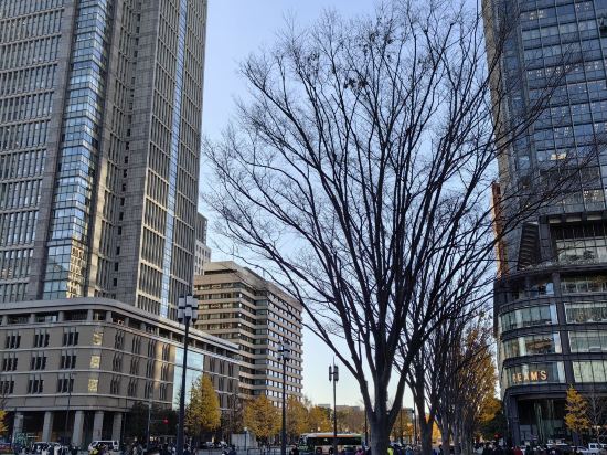 コートヤード・バイ・マリオット 東京ステーション クーポン