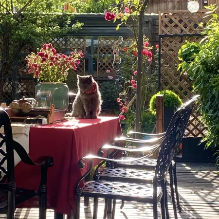 Meet Snow Mountain Boutique Residence