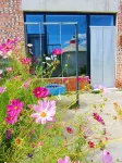 格桑花·Horizonview雲畔·全景美宿（豐寧壩上草原大灘鎮店） - 酒吧