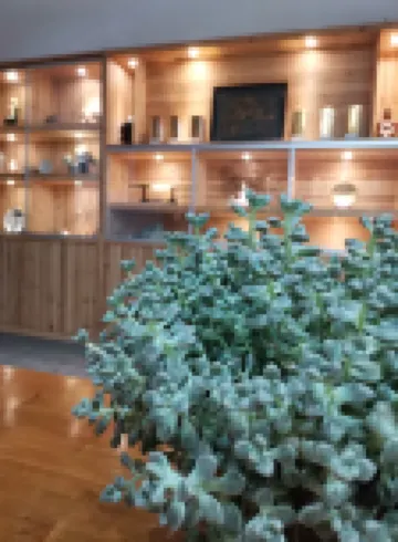A Half Day Home Stay in Pingnan