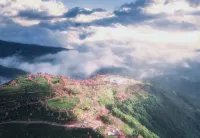 Sakura Valley Xiangkeju Chinese Inn Hotels in Nanjian