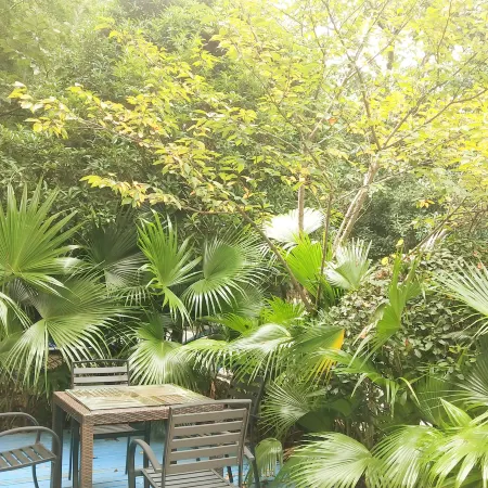 Xinyu Color Village Leisure Homestay