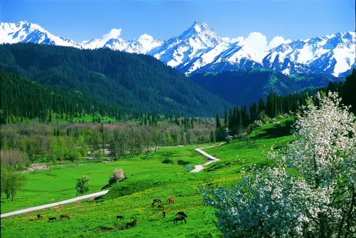 Kurdish Ningyi City has your homestay