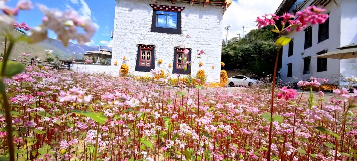 Heisha Zangmi Homestay (Zhonglu Tibetan Village) Hotel di Danba