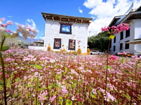 Heisha Zangmi Homestay (Zhonglu Tibetan Village)