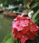 Yinjiangnan Xujia Hostel