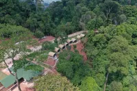 The Rock Lodge - Homestays