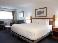 Robin Hood Inn and Suites Hotels near Summit Park