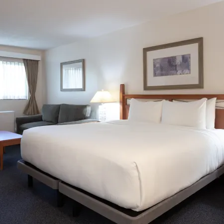 Robin Hood Inn and Suites
